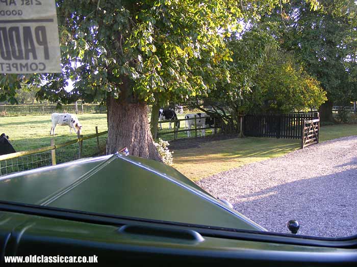 Ready to leave for the classic car and lorry show