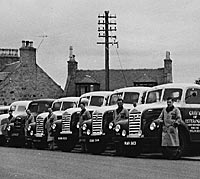 Line-up of Ford Thames 4D lorries