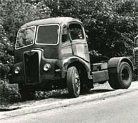 Scrap Guy Otter artic