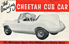 Cheetah Cub child's race car