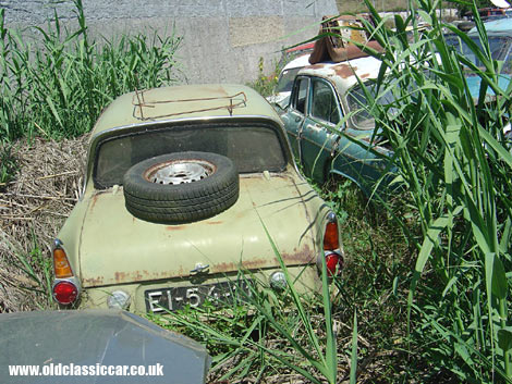 The future looks bleak for this pale green Ford Anglia 105E.
