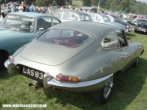 Rear view of a Series 1 E-Type in the company of other classic Jaguars.