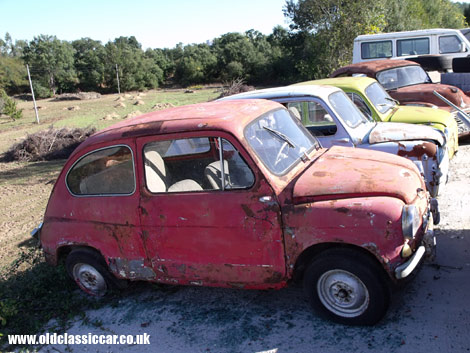 A line of decaying Fiats slowly fall to pieces alongside a Portuguese road.