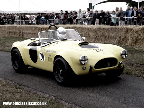 An AC Cobra approaches the line at Cholmondeley.