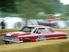 Cholmondeley - Photo #100