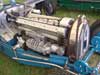 Cholmondeley - Photo #101