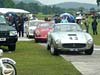 Cholmondeley - Photo #109