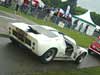 Cholmondeley - Photo #133