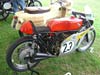 Cholmondeley - Photo #78