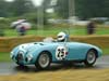 Cholmondeley - Photo #95