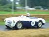 Cholmondeley - Photo #99