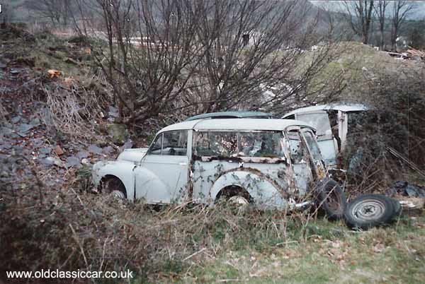 Picture of Minor Travellers from Morris