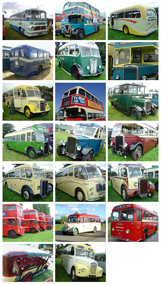 bus pics