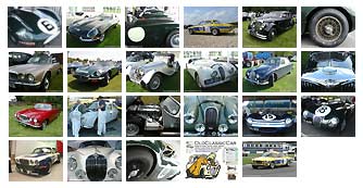 Jaguar screensaver photos
