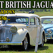 Jaguar Day