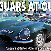 Jaguar day